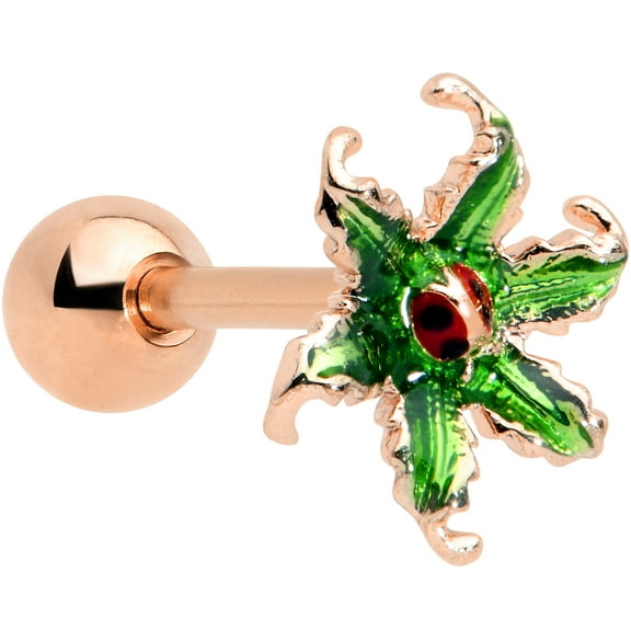 Body Candy 16G Womens Plated Steel Rosy Green Leaf Ladybug Cartilage Earring Helix Tragus Jewelry 1/4"