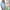 Light Blue, variant on Sentmoon Girls Tunic Casual Blouse Loose Fit Short Sleeve Lapel Tops Simple Tee Shirt Clothes for Girls 4-12 Clearance Items Light Blue 3-12T