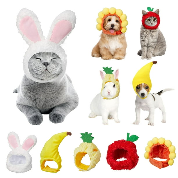 Greeniant 5 uds. De gorro para mascotas, ropa bonita para vestir a perros y gatos, disfraz de cachorro, accesorios de estilo cálido, diadema, Ropa para mascotas