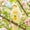 💖 Yellow_Hot#242, variant on Bird Flight Suit Diaper with Poop Pocket for Budgies, Cockatiels & Parakeets – Reusable Washable Bird Diaper