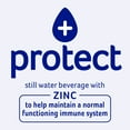 thumbnail image 4 of Pure Life + protect with Zinc (blackberry flavor) 20 Fl. Oz. (4 Pack), 4 of 14