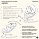 thumbnail image 3 of Silla Mecedora ORPHIC Bouncer Bebé Musical Bluetooth Bambineto  ORPHIC, 3 of 7