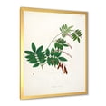 thumbnail image 2 of Designart 'Ancient Botanicals XI' Farmhouse Framed Art Print, 2 of 4