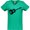 Kelly Green, variant on Inktastic Grunge Guitar Women's V-Neck T-Shirt