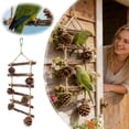 thumbnail image 2 of Natural Wooden Parrot Nesting with Climbing Ladder and Scratch for Small Pet Birds, 2 of 7