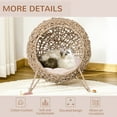 thumbnail image 4 of PawHut 20.5" Natural Hyacinth Cat House, Elevated for Comfort and Circulation, 4 of 9