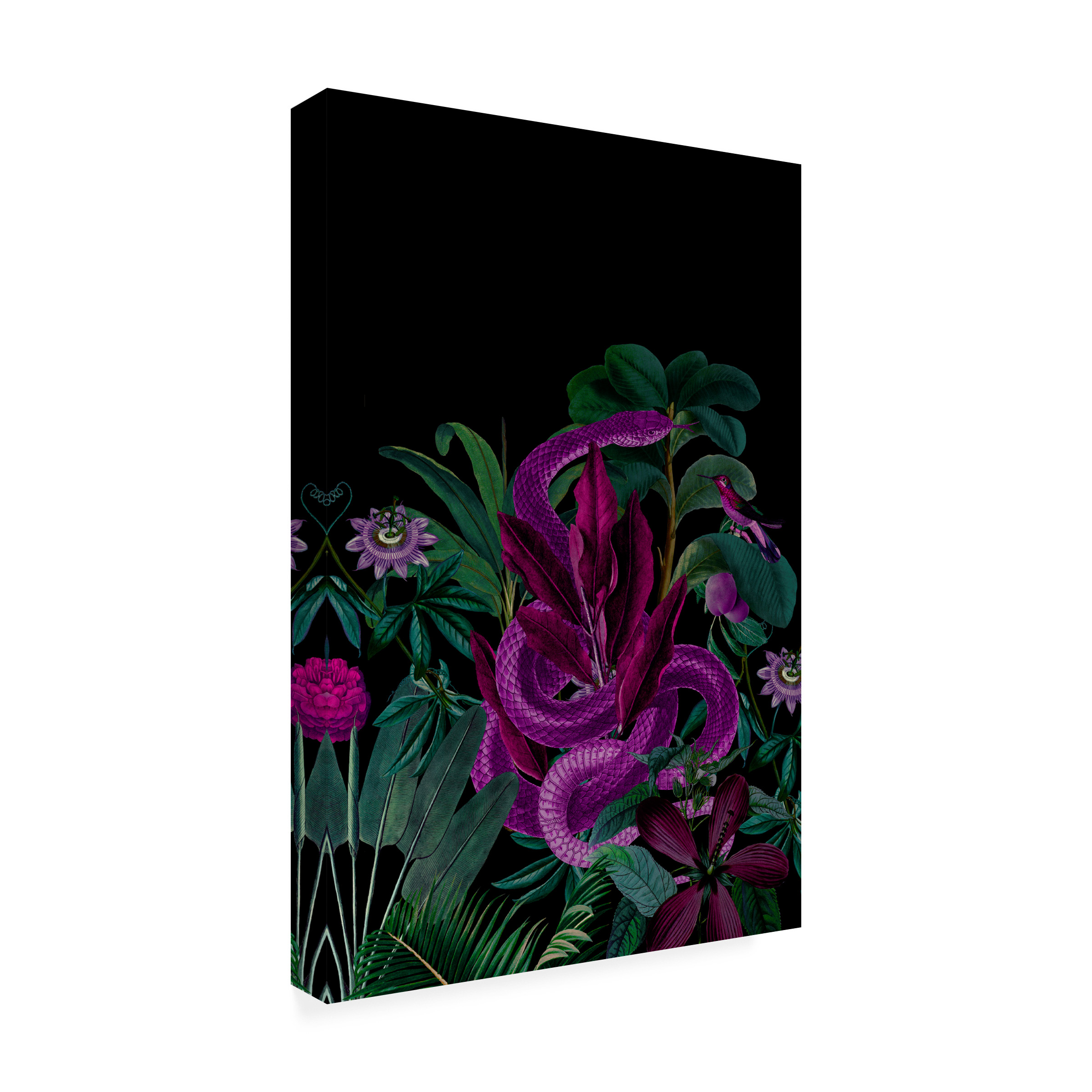 Andrea Haase 'Midnight Jungle Snake' Canvas Art