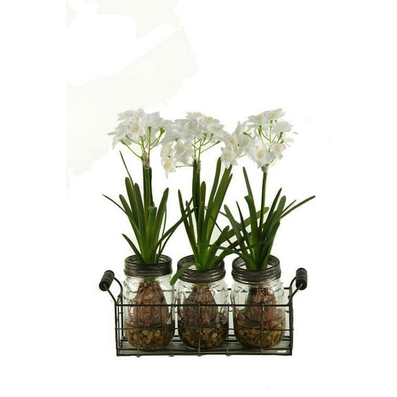 D&W Silks Paper Whites in Glass Jars in Metal Holder