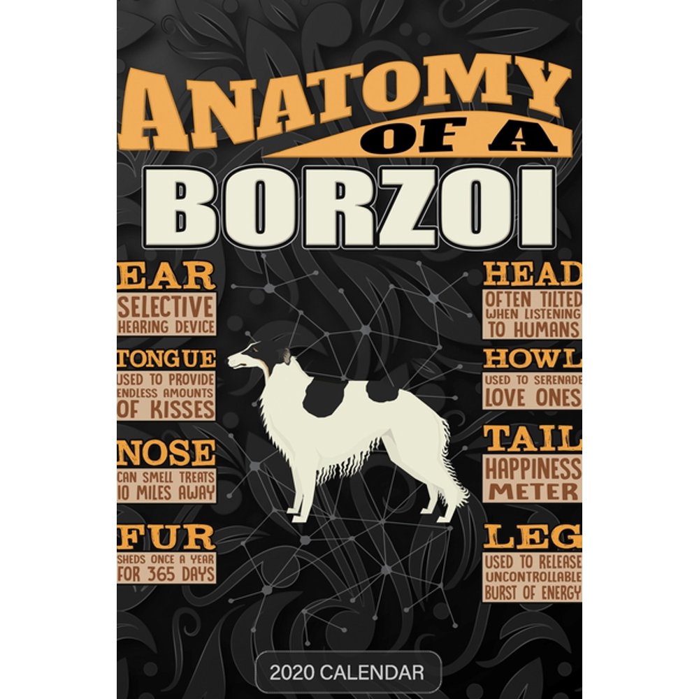 Anatomy Of A Borzoi : Borzoi 2020 Calendar - Customized Gift For Borzoi Anatomy Of A Borzoi : Borzoi 2020 Calendar - Customized Gift For Borzoi
