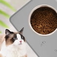 thumbnail image 2 of nobrands Set de Table pour Animaux de Compagnie Silicone Imperméable à l'Eau Mat Chien Chat Non Glissement Bol Set de Table pour les Aliments pour Chiots Animaux de Compagnie(??), 2 of 7