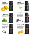 thumbnail image 2 of Aceite esencial Irfora Juego de 6 piezas de aceites esenciales naturales de 10 ML, aceite de aromaterapia esencial soluble en agua para humidificador difusor de aceite Irfora Aceite esencial, 2 of 7