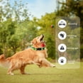 thumbnail image 6 of COFEST LED Dog Collar USB Rechargeable-Bright & High Visibility Lighted Glow Collar for Pet Night Walking-Weatherproof In 4 Colors Green, 6 of 8