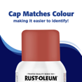 thumbnail image 4 of Rust-Oleum Interior/Exterior Low Odour Spray Paint in Matte Timeless Red, 312g, 4 of 10