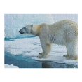 thumbnail image 2 of Awypu Polar Bear Wooden Jigsaw Puzzle - Premium Eco-Friendly Wood - Relaxing and Engaging Puzzle Game - Home Decor Art Piece 500 PCS, 2 of 4