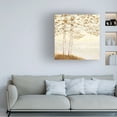 thumbnail image 3 of James Wiens 'Golden Birch I Off White' Canvas Art, 3 of 3