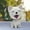 Style 8, variant on Shaking Head Dog Toy Car Furnishing Articles Dashboard Doll Cute Nodding Decor