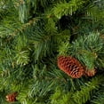 thumbnail image 5 of Vickerman Cheyenne Pine 60" Artificial Unlit Holiday Christmas Wreath, 5 of 5