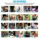 thumbnail image 5 of Juego de arnés y correa para perros Lukovee, acolchado suave para perros pequeños, 5 of 8