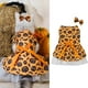 thumbnail image 1 of Divertidos suministros de Halloween para mascotas, conjunto de vestido y tocado de tul transformable para mascotas., 1 of 4
