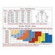 thumbnail image 2 of ( W Conjunto Deportivo Hombre, Spiderman, Licra + Playera, 2 of 2