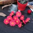 thumbnail image 3 of DEWIN Cabezas de Flores Artificiales, Gerbera Artificial Margarita Tela Flor Cabeza Boda Fiesta DIY Decoración Artesanía (100PCS)(Rosa roja), 3 of 5