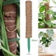 thumbnail image 3 of Postes de extensión Postes de planta naturales Postes de fibra de coco para 50cm, 3 of 9