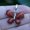 Red Stone, variant on Natural Crystal Quartz Butterfly Chakra Gemstone Pendant Healing Amulet Charm-Red Stone