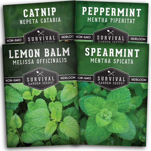 Survival Garden Seeds 4 Mint Collection Seed Peppermint, Spearmint