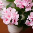 thumbnail image 4 of Morttic 2PCS 5 Heads Artificial Red Pink White Geranium Bush,Fake Geranium Bush for Cemetery Vases, 14in Artificial Geraniums Silk Flowers, Faux Cemetary Vase Table Centerpiece(Pink), 4 of 8
