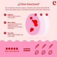 thumbnail image 3 of Calzones Menstruales Culotte Rosario 3XS Bolsa de Lavado, 3 of 8