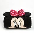 Disney Minnie Mouse Nap Mat with BONUS carry bag