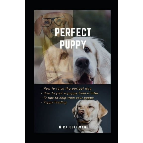 Perfect Puppy: How to raise the perfect dog: How to pick a puppy from a litter, 10 tips to help train your puppy, puppy feeding (Paperback)