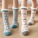 thumbnail image 2 of Sonducket 1 par de calcetines gruesos de invierno frío, calcetines cómodos, medias cálidas para mantener el pie caliente, suministro para el hogar, la Medias Cielo azul Sonducket AP013521-05, 2 of 6