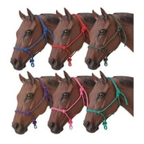 6PK HORSE SIZE ROPE HALTER