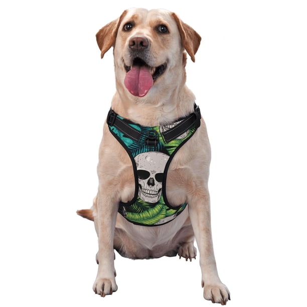 Fotbe Skull and Palm Leaves Arnés para Perro con Estampado –Chaleco Ajustable Acolchado con Asa de Control para Perros Grandes-Large