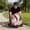 Pink, variant on Foldable Sun Shading Pet Trailer Stroller, 33.86x20.08x13.78in Outdoor Cat Dog Pull Cart, Small Dog Walker with Shock Wheels for Hiking Camping, Black