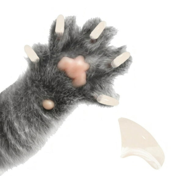 Pretty Claws Ivory Nail Caps for Cats - Medium Size - 60 Pack ~ Stylish