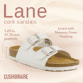 thumbnail image 2 of Cushionaire Women's Lane Cork Footbed Sandal – Comfortable Double Buckle Slip-On with Genuine Suede Footbed & Arch Support Slide Sandals for Women, 2 of 10