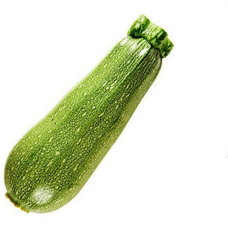 Fresh Calabacita Squash, Each