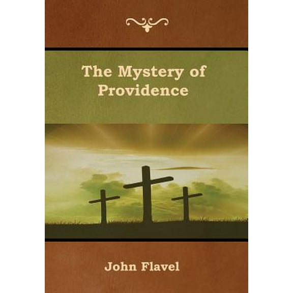 The Mystery of Providence (Hardcover)