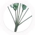 thumbnail image 3 of CRAFTHROU 1Ud Flor Artificial De Falso Verde Para De Y, 3 of 6