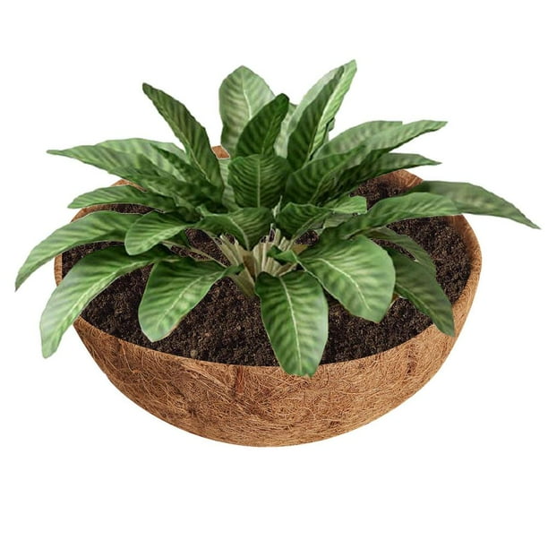 Yungwalm Round Coconut Liner Basket Round Coco Liner Basket DIY Wall