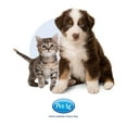 PetAg KMR Kitten Milk Replacer Powder Prebiotics and Probiotics