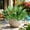 Green 2602, variant on 14 Pack Artificial Flowers Plant for Outdoor, UV Resistant Fake Greenery Shrubs & Bushes, Realistic Plastic Boston Fern Stems in Bulk for Window Boxes, Hanging Basket, Front Porch Yard Patio Decor