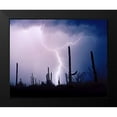 thumbnail image 2 of Taylor, Douglas 14x12 Black Modern Framed Museum Art Print Titled - Electric Desert II, 2 of 5