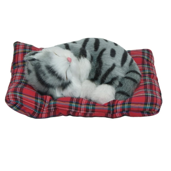 Adorable Sleeping Grey Kitty Cat on a Plaid Pillow