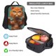 thumbnail image 5 of Balery Strong Kitten Lifting Weights Mochila escolar 3 en 1 para niños: mochila resistente con lonchera térmica y estuche para lápices. Mochila escolar para niños y niñas., 5 of 7