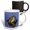 Multicolor, variant on 3drose, Red-eared Slider Turtle, Rio Grande Valley, Texas - Na02 Rnu0745 - Rolf Nussbaumer, 11oz Two-tone Green Mug