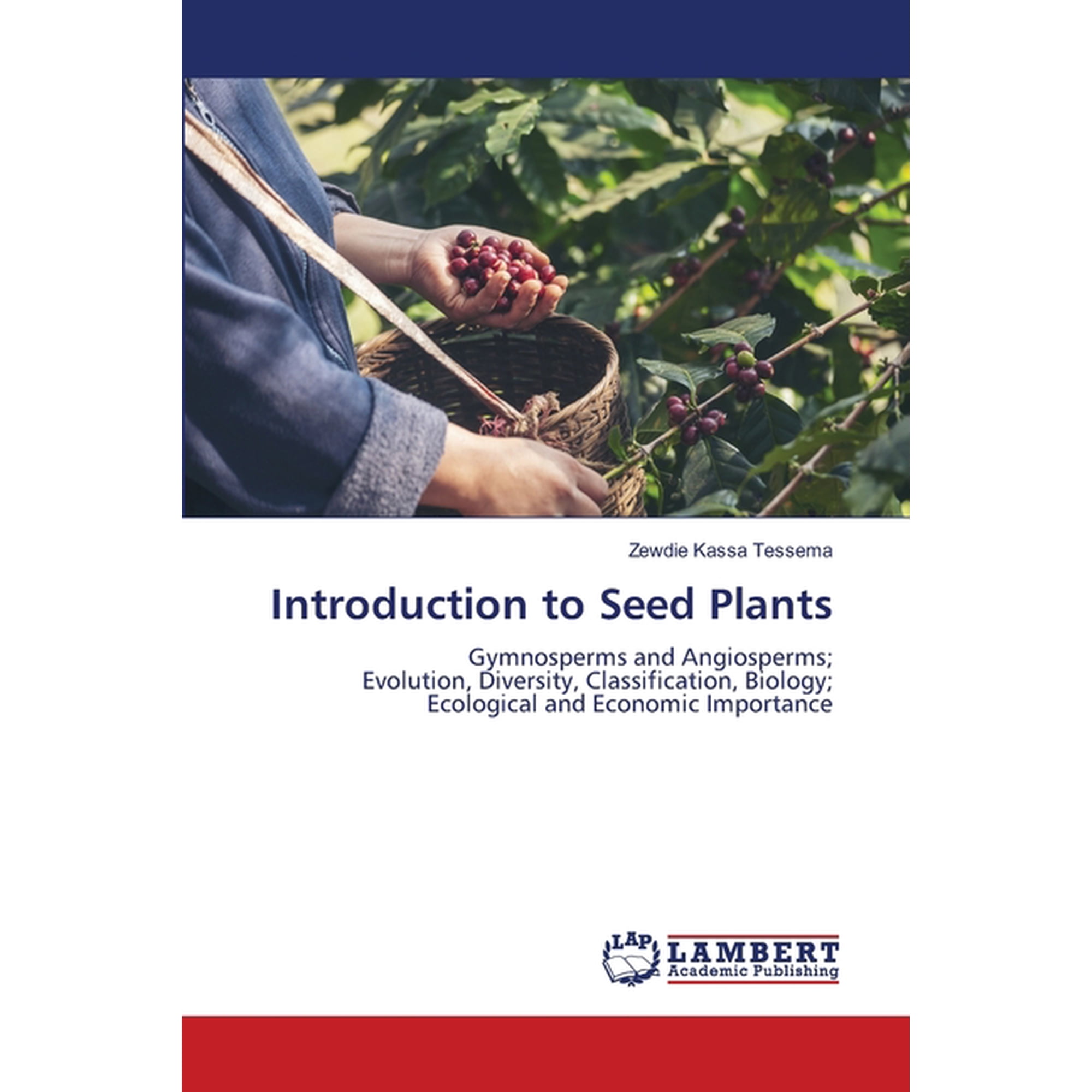 Introduction to Seed Plants (Paperback)