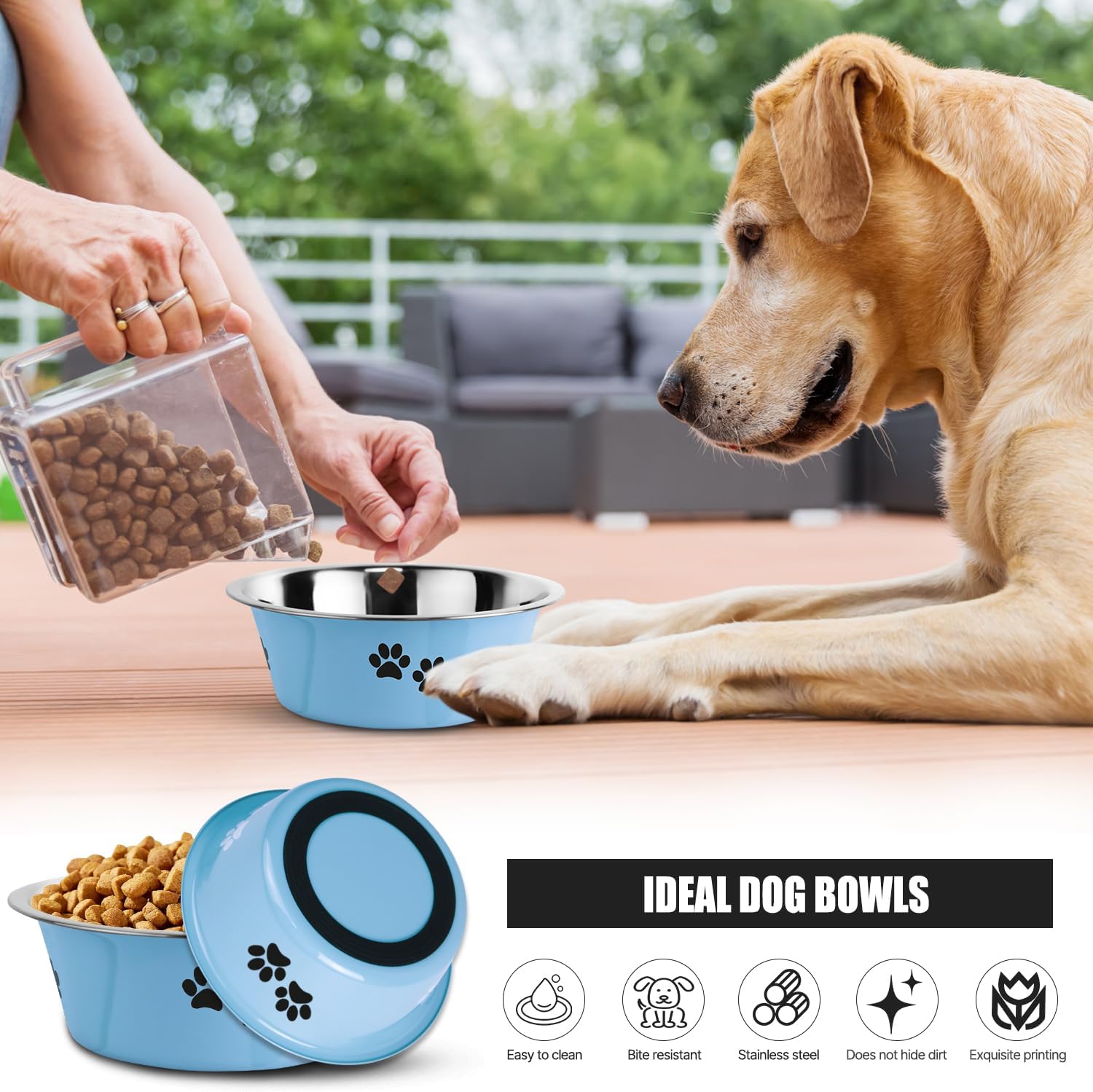 Dog Bowls 2 Pack Small Medium Dogs Feeding Food Water Bowl with Non-Slip Silicone Sole, Stainless Steel Dog Dishes Elevated Raised Pet Feeder (Blue, XL(8.5 Cups)